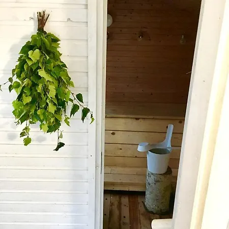 Luxury Dome With Ski-in/ski-out Access In For A In Finland *