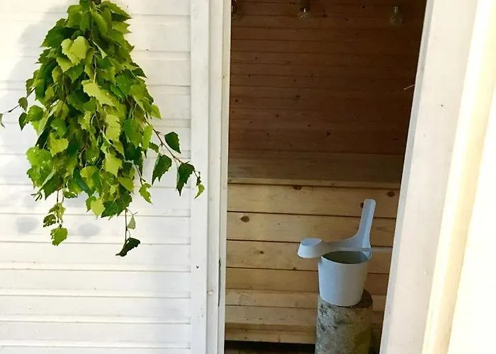 Luxury Dome With Ski-in/ski-out Access In For Holidy In Finlnd *